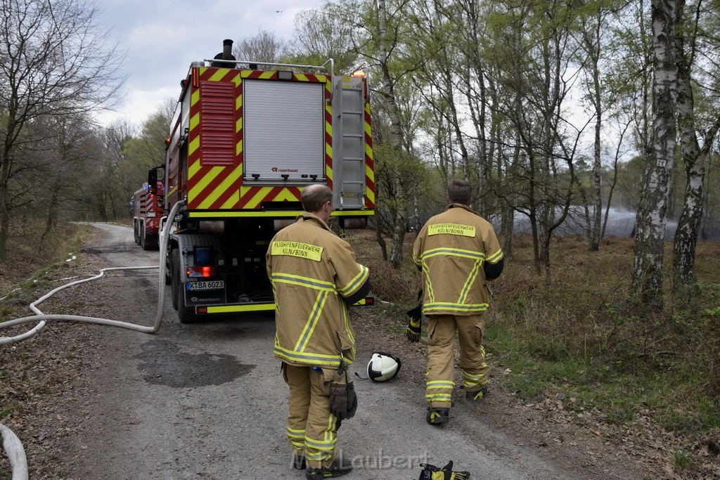 Waldbrand Wahner Heide Troisdorf Eisenweg P117.JPG - Miklos Laubert